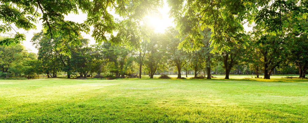 MAJYC Parcs et Jardins